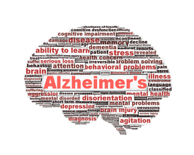 Alzheimers brain map