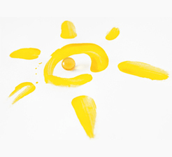 Vitamin d and sun concept