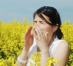 Pollen allergy eyes