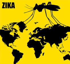 Zika virus outbreak concept