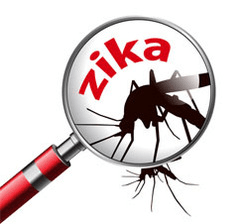 Examining zika virus concept